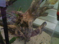 FOR SALE 2 x 2ft square glass aquariums and filters etc