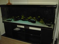 2 mt X 50 cm x 70cm Rena Aquarium For sale.