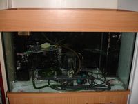 Fit Filtration 4 ft Reef tank and sump