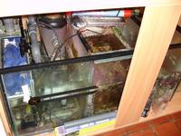 Fit Filtration 4 ft Reef tank and sump
