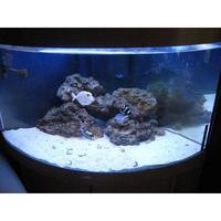 Full Marine Setup Juwel Trigon 190 + All Fish Equipment And Rock