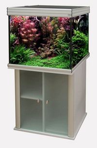 Aquaatlantis Evasion 67cm cube aquarium & cabinet