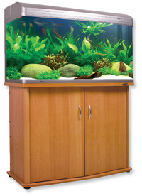 AQUA ONE 980 COMPLETE SETUP + FISH + EXTRAS WILL SEPERATE