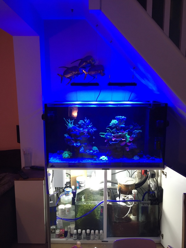 Aquarium hot sale cabinet solutions