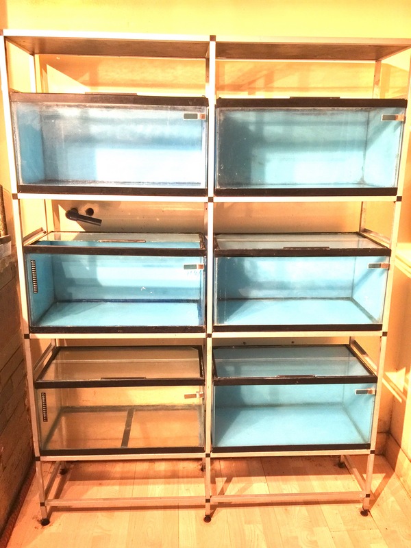 Fish tank racks / breeding tanks / fish house tank Aquarium FOR