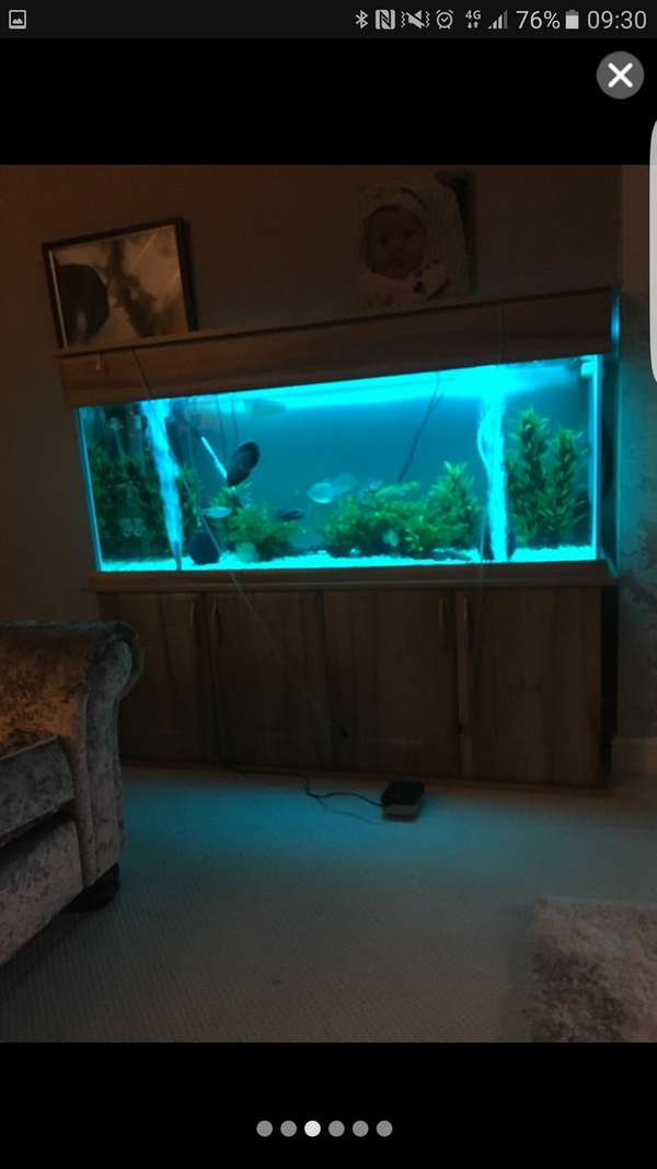 500l best sale fish tank