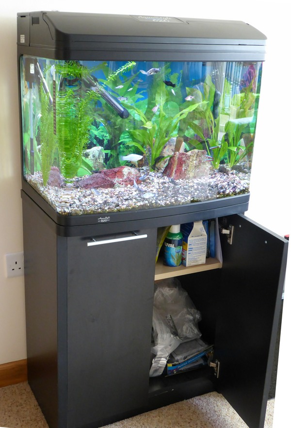 Aqua One 620T 90 litre tank on Black 2 door Cabinet with Fish accessories at Aquarist Classifieds