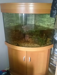 Fish tank for sale