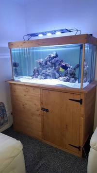 4x2x2ft fish tank