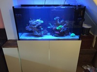 4ft Marine rimless braceless fish tank made by Aquarium Cabinet Solutions £450