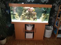 JUWEL RIO 300 FISH TANK/AQUARIUM BEECH