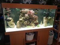JUWEL RIO 300 FISH TANK/AQUARIUM BEECH