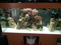 JUWEL RIO 300 FISH TANK/AQUARIUM BEECH