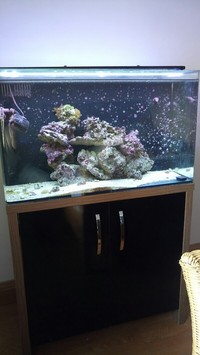 Aquanano 120 complete marine set up