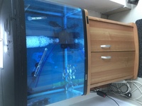 Aquaone AR - 620 90l Complete Fish Tank Aquarium, Fish, K1 Moving Bed And More.