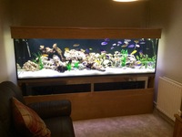 Southdown aquatics ( Aquarium hoods)