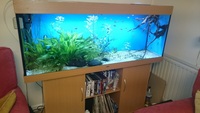 Complete Freshwater Aquarium Setup