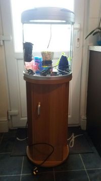 fish tank with accessories and stand 45 pound and collection