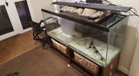 4 Foot tank, stand, tons of accessories £125