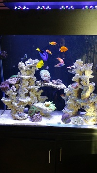 LT SL-A001-90 Marine Reef Aquarium LED Lighting SOLD