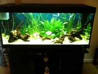 480 litre tank for sale