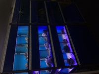 Marine fish tank racking. Shop display /breeder