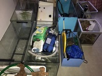 Lots of Aquariums and Equipments for sale