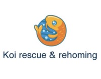 Koi Rescue & Rehoming.