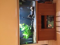 5ft aquarium fish tank, Rena 450 ltr, £500.