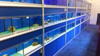 john allan racks fish bays