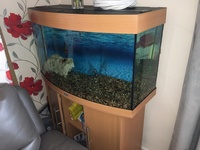 3ft Bow Front Aquarium