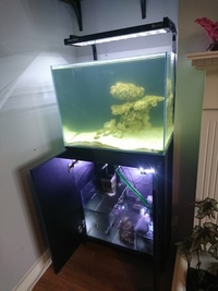 Aqua One Mini Reef 120 (black, weeks old) - Full Setup