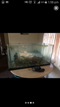 225L Fish Tank and Filter etc.
