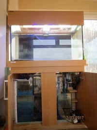 Coventry Aquatics aquarium with sump tank filter