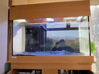 Coventry Aquatics aquarium with sump tank filter