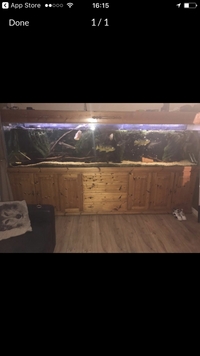 10 ft fishtank complete set up no fish included