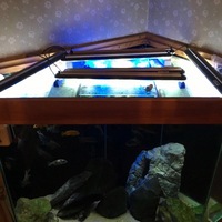 Custom built corner aquarium and cabinet £350