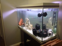 300L Tropical fish tank & Mahogany Stand