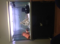 300L Tropical fish tank & Mahogany Stand