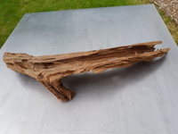 Bogwood