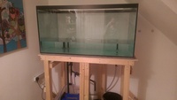 48 inches x24 inches x24 inches ND Aquatics Drilled Aquarium With Plumbing £180