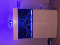 Complete marine set up. 3 foot in white with everything youll ever need