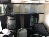 Lots of Aquariums and Equipments for sale