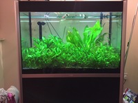 Fluval Profile 1000 Black