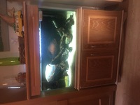 Still for sale due to time waster GRAB A BARGAIN. Custom built Aquarium
