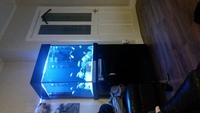 fish tank 300 litre