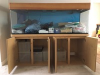 Aquarium Fish tank full setup Discus, Marine 790 litres