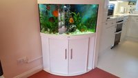 Fish Tank Juwel Trigon 2 X G3 Filters TMC light Discus set up over £2000 of kit