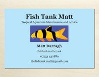 Fish Tank Matt - Aquarium Maintenance Services (Essex)