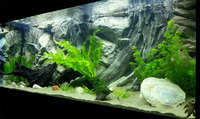 Juwel Rio 180 made to fit 3D Rock background for 89,99